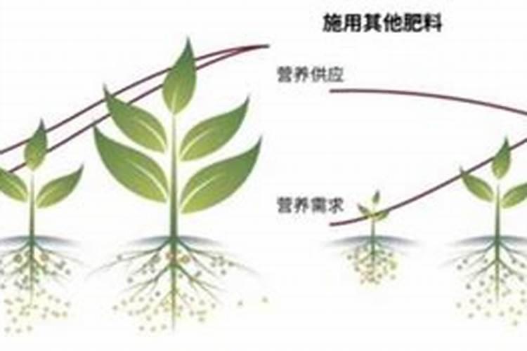 为什么通用型的控制肥比专用型的控释肥贵