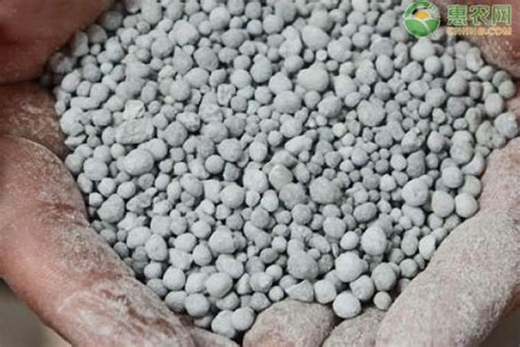 建瓯什么肥料属于氮磷肥料？