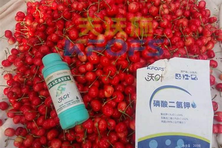 叶面肥哪个牌子好