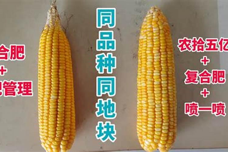 水果玉米微生物菌剂是什么成分做的药材？