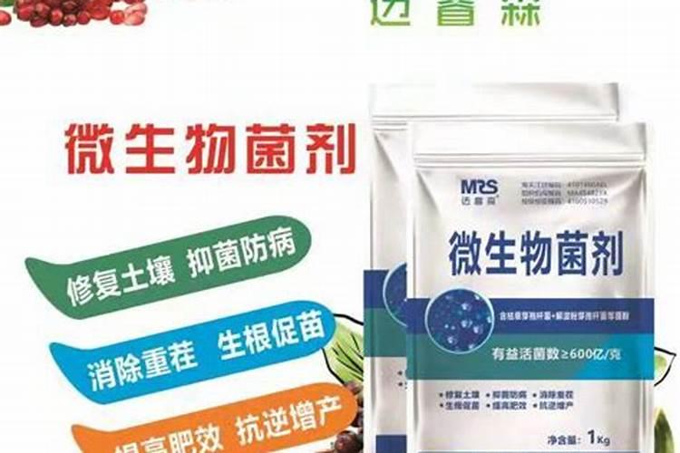 白皮松微生物菌剂的功能作用能喷叶子吗枣庄？