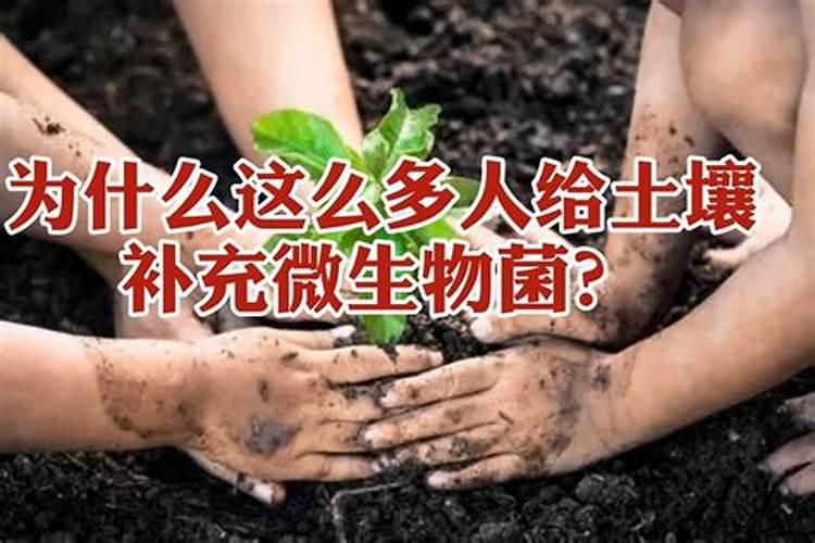 微生物菌肥在使用和选择上,都有哪些误区需要避开？