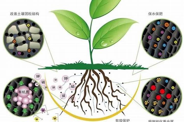 生物肥、化肥、有机肥的优缺点是什么,混合使用注意什么？
