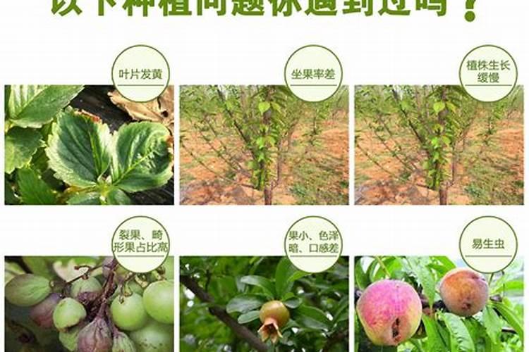 微生物肥料的作用原理与注意事项