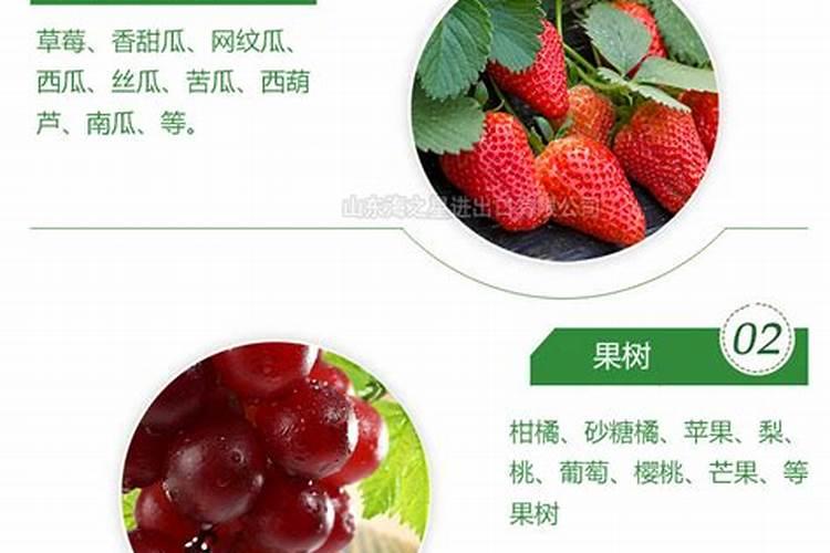 鱼蛋白肥料厂家直销
