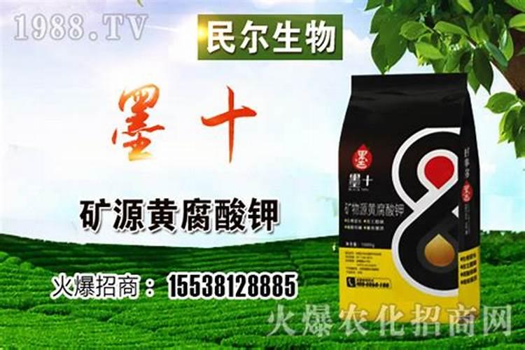 合欢树矿源黄腐酸钾使用方法效果展示2025？