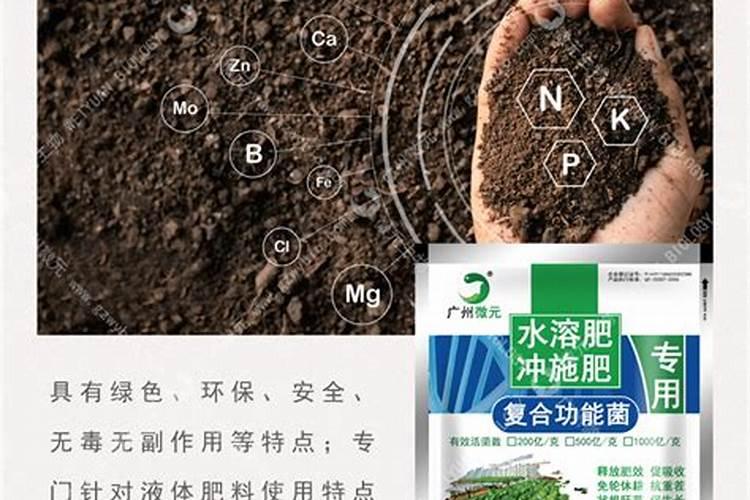 施肥生物菌肥厂家哪里好？