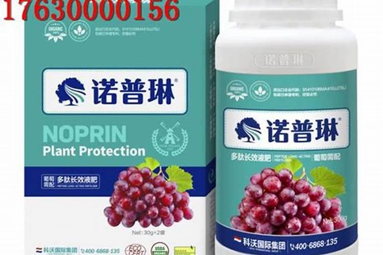 意大利生产的普诺安叶面肥怎么样