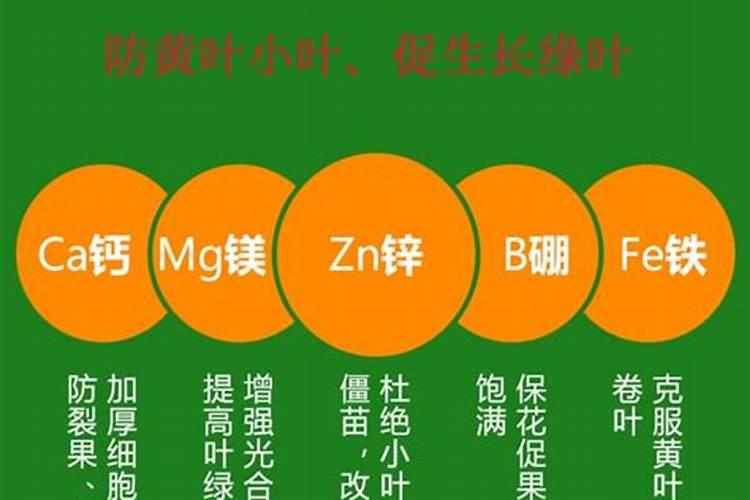 月季中微量元素水溶肥用法用量