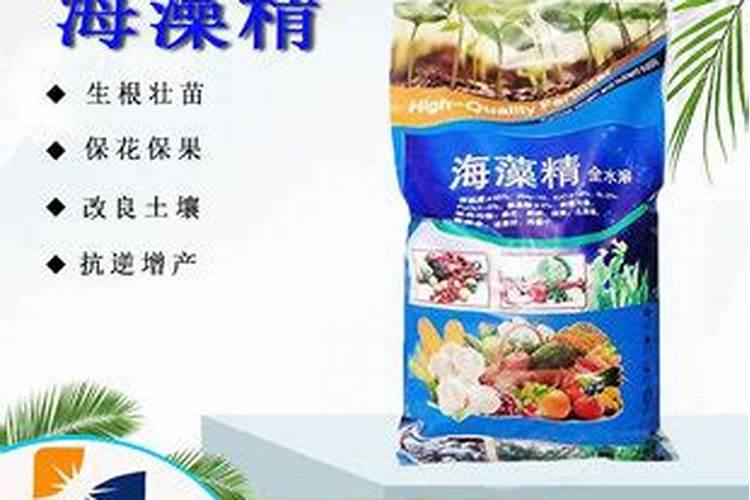 海藻肥水溶肥2025亚麻