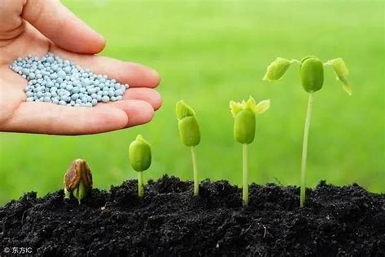 生物肥料都包括哪些东西种类金华？