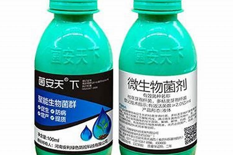 菌安天下微生物菌剂