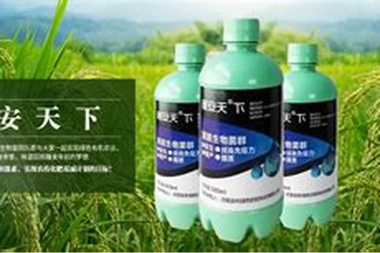 菌安天下是不是骗局