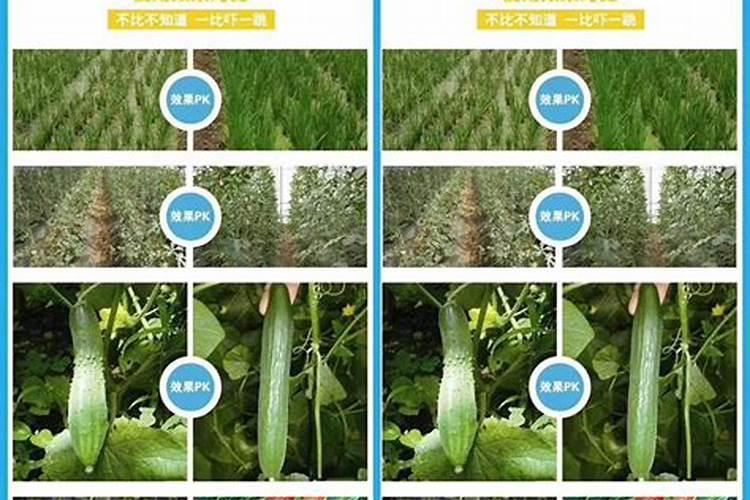 微生物肥料多少钱？
