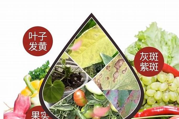 2025钙镁磷肥对果树的作用及功能