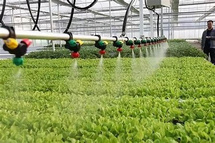 水培缓释肥的使用方法？