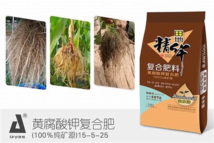 矿源黄腐酸钾十大品牌有哪些厂家？