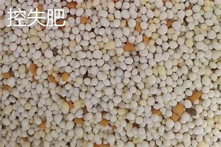 2025控释肥和控失肥的区别化州？