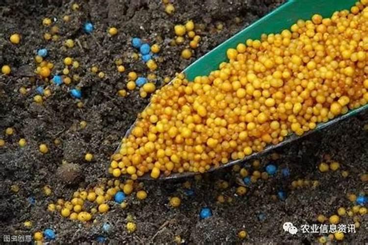 磷肥钾肥氮肥的作用及功能