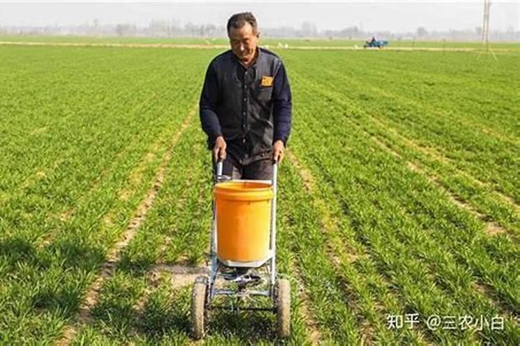 高钾配方水溶肥中的是什么意思