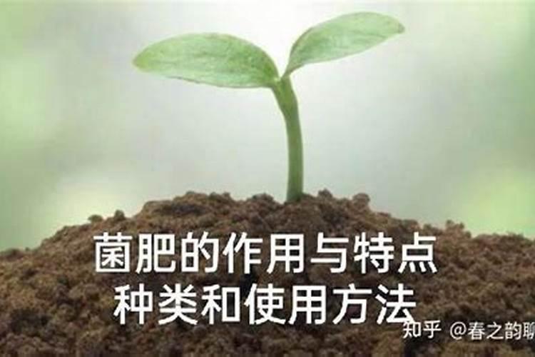 2025微生物菌肥的正确使用量