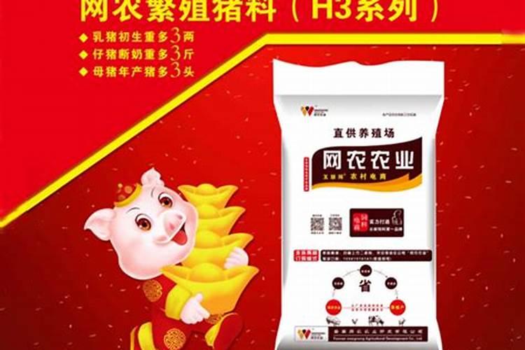 云南教槽饲料公司