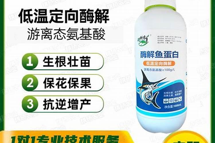 鱼蛋白叶面肥功效