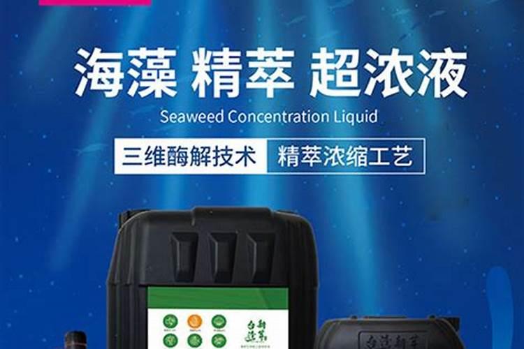 海藻肥什么时候施效果最好？