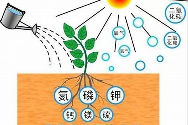 各位老师,水溶肥和二氢钾的区别