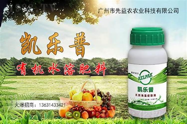 桂林2025有机水溶肥的作用与功效与作用
