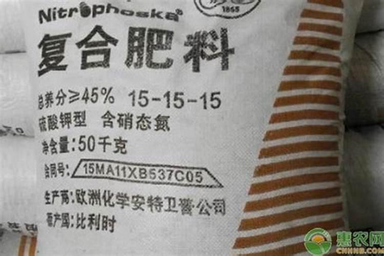 2025复混肥料有哪些主要特点和作用？