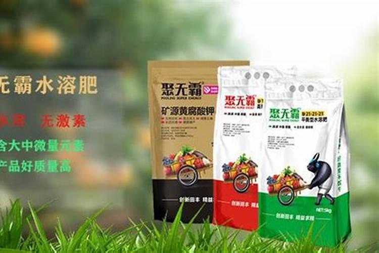 2025全国水溶肥前十名厂家有哪些公司大石桥？