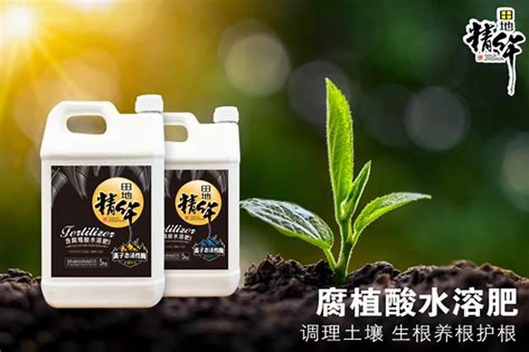 哪个厂家的水溶肥好