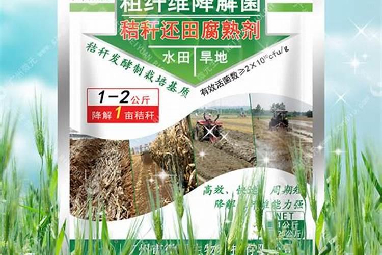 农运来粗纤维降解菌施用范围有哪些？农用微生物菌剂粗纤维降解菌的作用与。