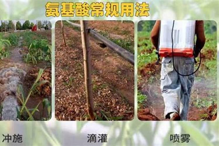 福安氨基酸叶面肥喷施过量会怎样处理？