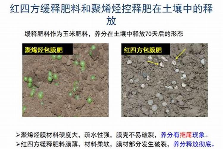 缓控释肥哪个牌子好