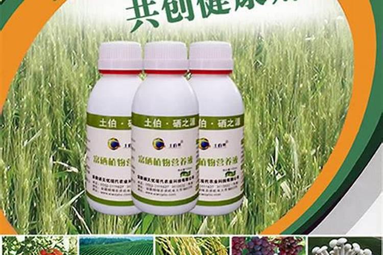 儋州果蔬专用富硒肥厂家有哪些地方？
