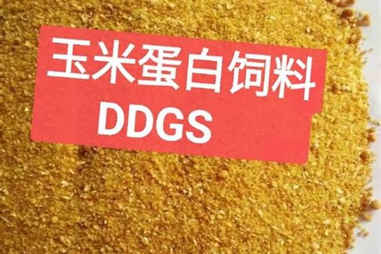 2025化肥厂家直销一手货源玉米营口