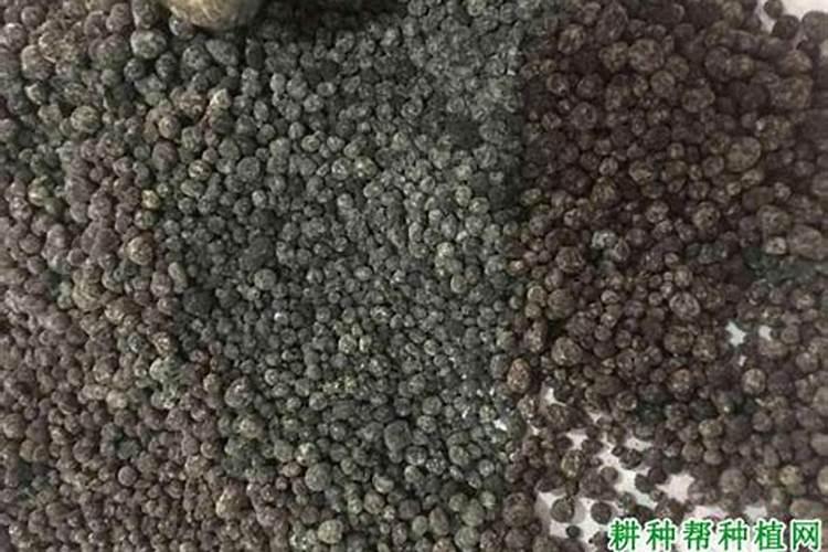 铁肥微生物菌肥每亩用多少？