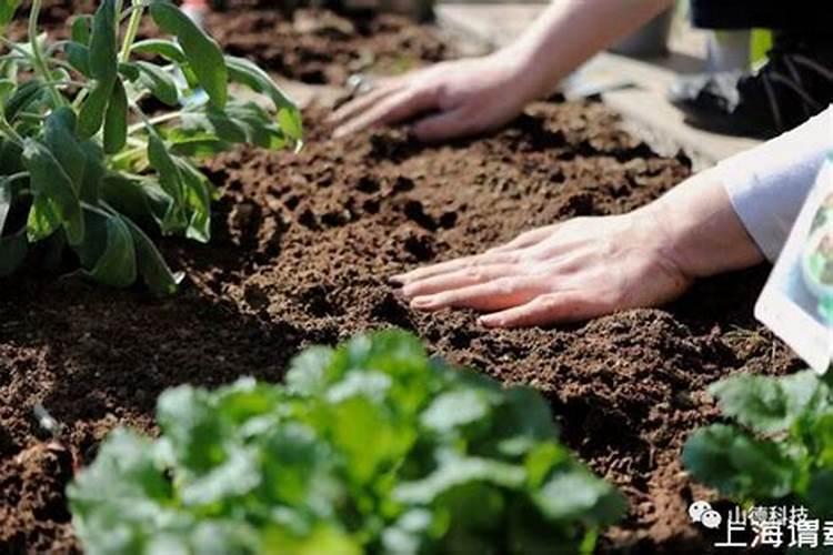 绍兴微生物肥料的概念种类及应用