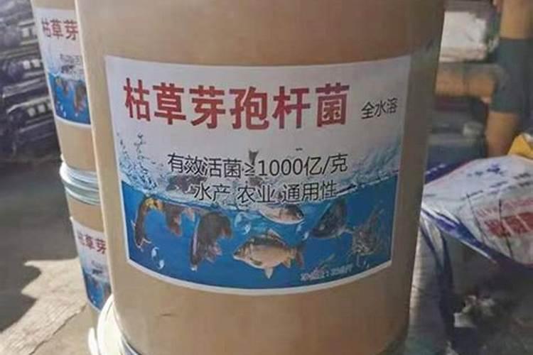 水产微生物菌剂的功能作用2025