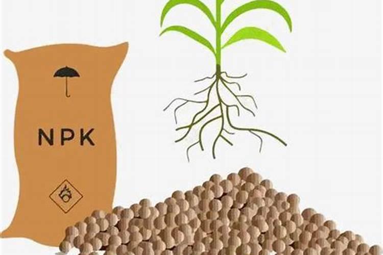 生物肥料包括哪些类型的安徽？