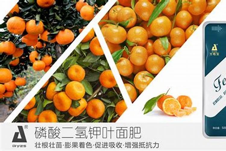 柑桔复合微生物肥料代加工企业自贡