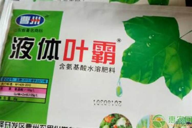 2025望秋氨基酸叶面肥作用与功效黄山