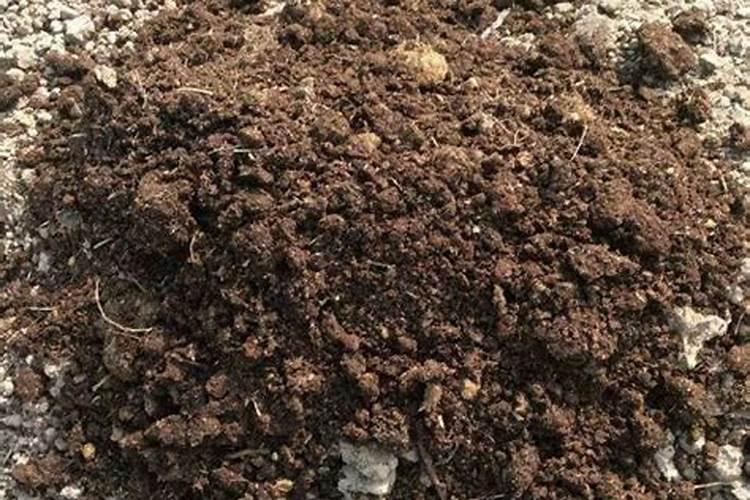 生物菌肥,究竟该如何施用才合理？