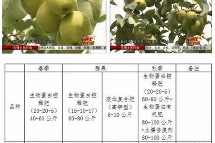 新密梨树用控释肥好还是缓释肥好？