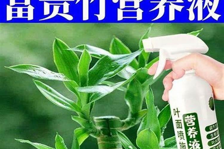 枣阳叶面肥的正确使用方法花卉？