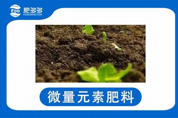 晋江微量元素肥料的施用技术