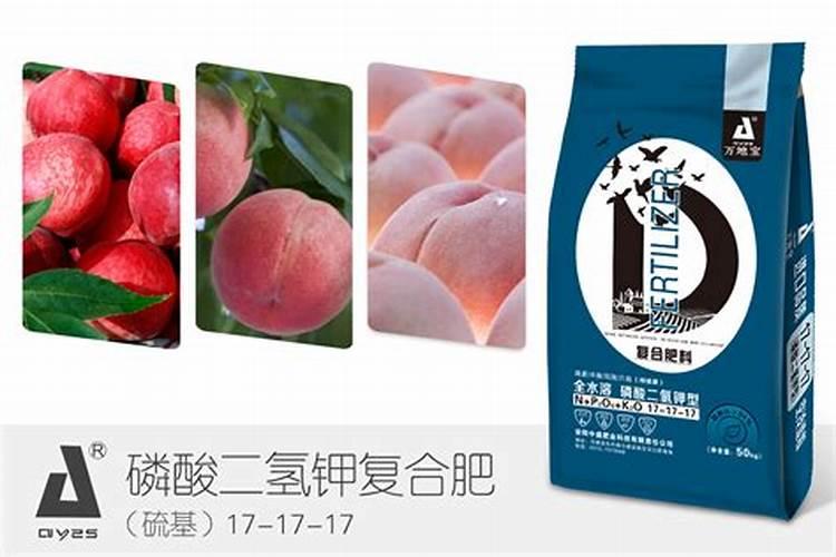 水溶肥厂家直播间桃树