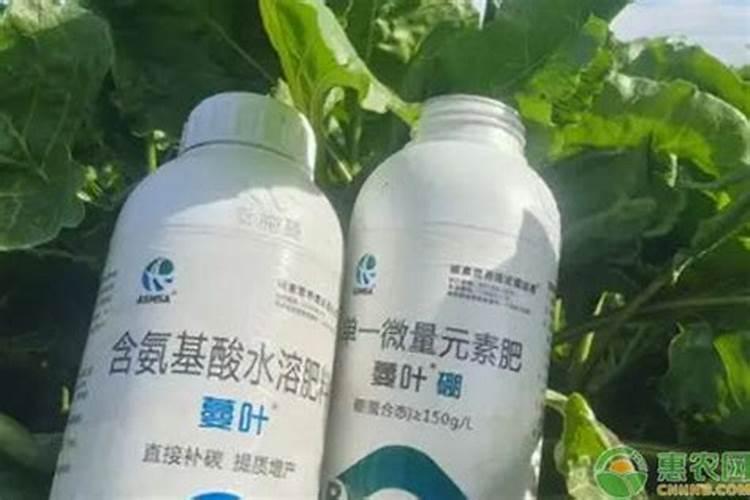 叶面肥有哪些元素大麦？